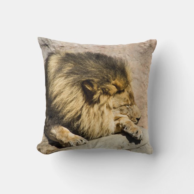 Coussin Carreau paresseux de lion (Recto)