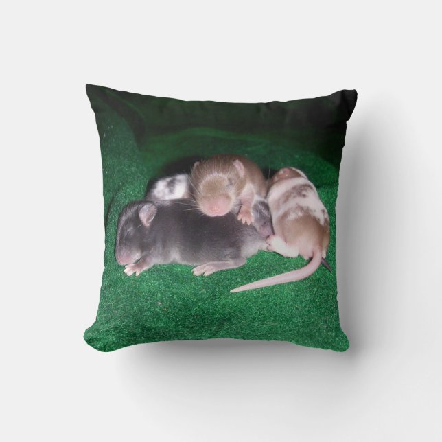 Coussin Carreau réversible de souris de bébé (Recto)
