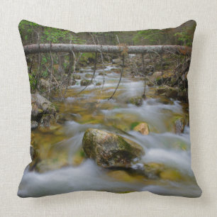 Coussin Carreau rocheux de crique de forêt