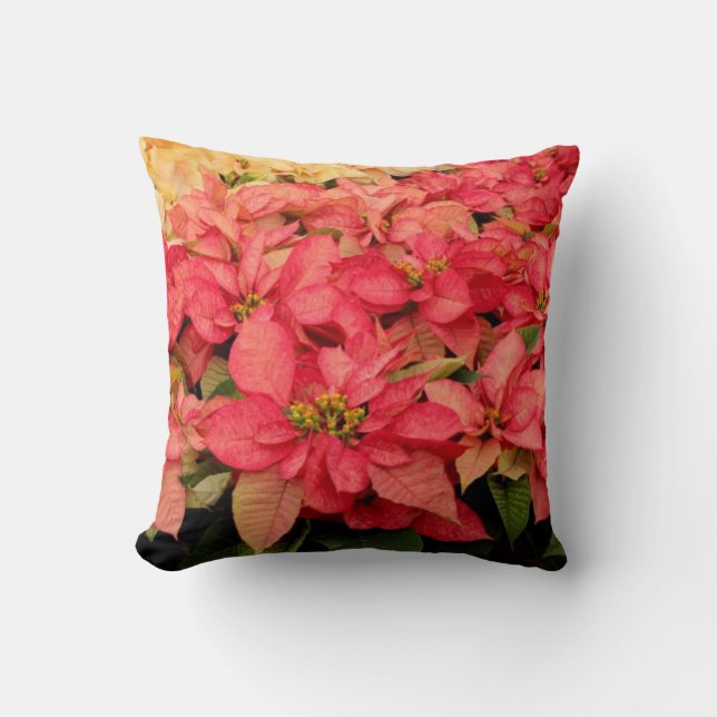 Coussin Carreau rose et jaune de Noël de poinsettia (Recto)