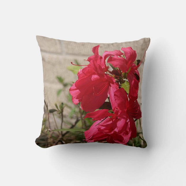 Coussin Carreau rouge de fleurs de ressort de Gladiolas (Recto)