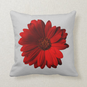 Coussin Carreau rouge de marguerite de Gerbera