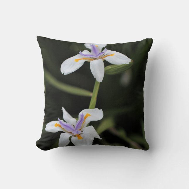 Coussin Carreau sauvage d'iris (Recto)
