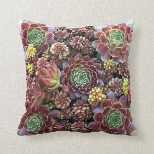 Coussin Carreau succulent