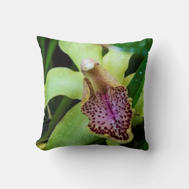 Coussin Carreau vert d'orchidée (Recto)