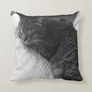 Coussin Carreau vintage de la photo   de chat de sommeil