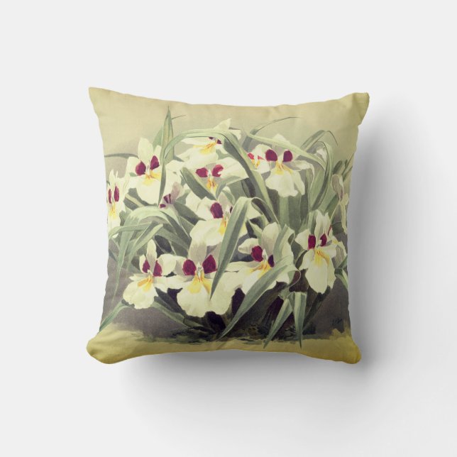 Coussin Carreau vintage d'orchidée d'odontoglossum (Recto)