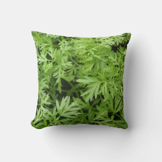 Coussin Carrot Tops (Recto)