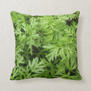 Coussin Carrot Tops