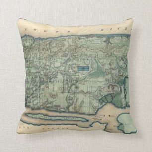 Coussin Carte sanitaire et topographique de New York City