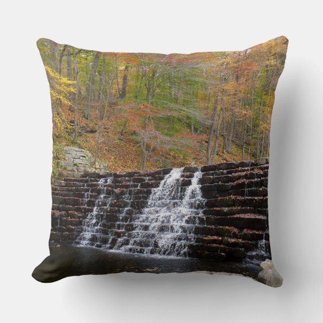 Coussin Cascade à Laurel Hill State Park I (Recto)