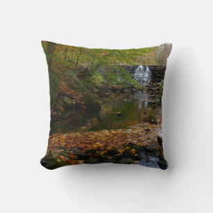 Coussin Cascade automnale et Creek Pennsylvania Nature