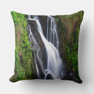 Coussin Cascade, côte de Hamakua, Hawaï