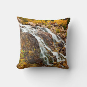 Coussin Cascade dans le parc national de Grand Teton
