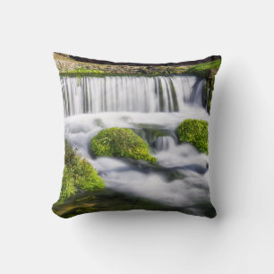 Coussin Cascade de la source Hodgson