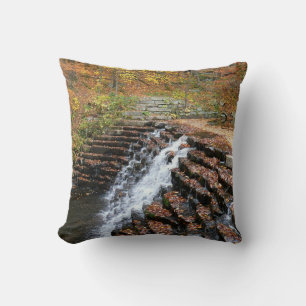 Coussin Cascade du parc d'état Laurel Hill State Park II