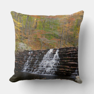 Coussin Cascade du parc national Laurel Hill I