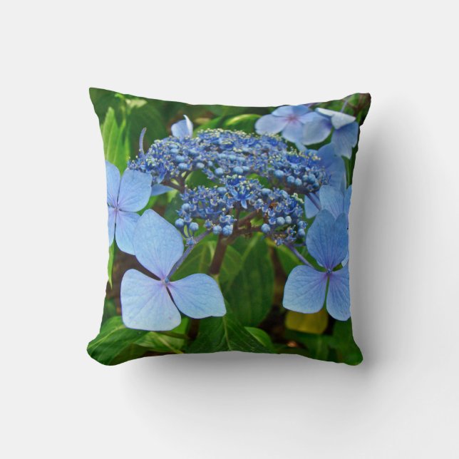 Coussin Casquette de dentelle bleue Hydrangea Blossoms - C (Recto)