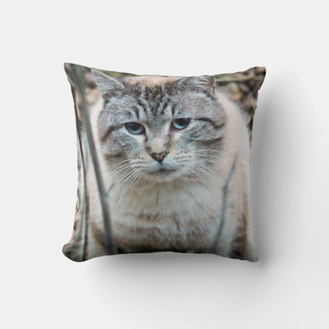 Coussin Cat (Recto)