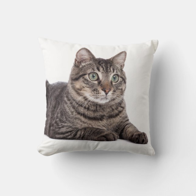 Coussin Cat (Recto)