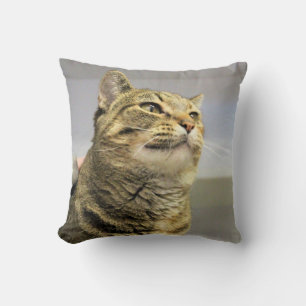 Coussin Cat