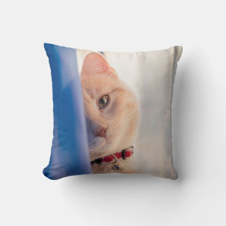 Coussin Cat