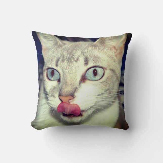 Coussin Cat (Recto)