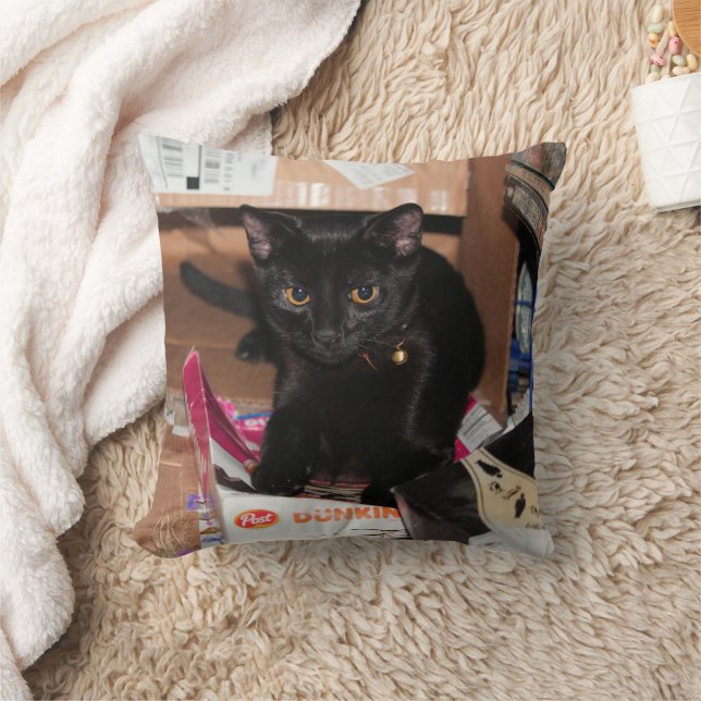 Coussin Cat (Couverture)