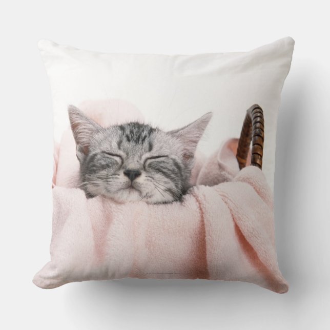 Coussin Cat américain shorthair (Recto)