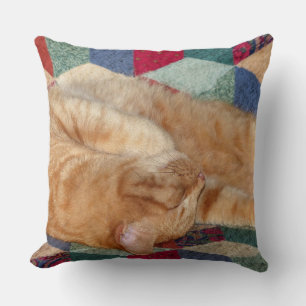 Coussin Cat Napping
