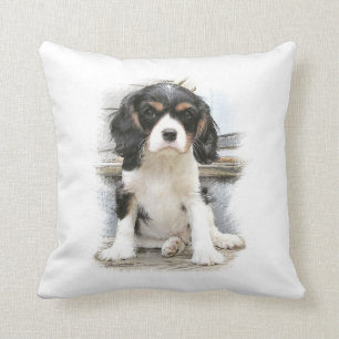 Coussin Cavalier Charles Spaniel