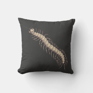 Coussin Centipede