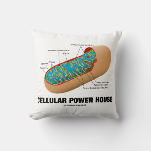Coussin Centrale cellulaire Mitochondrion