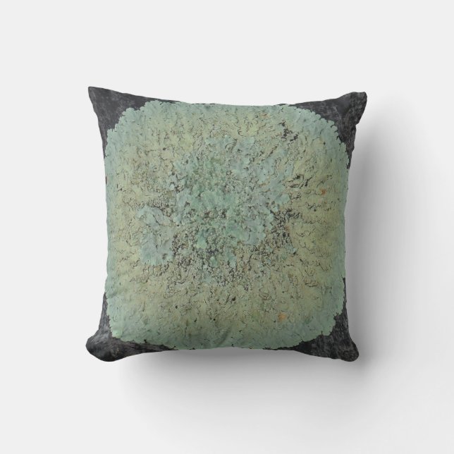 Coussin cercle de lichen presque solide vert turquoise gri (Recto)