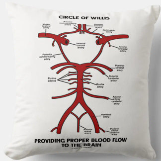 Coussin Cercle de willis fournissant le cerveau approprié