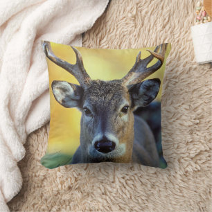 Coussin Cerf à queue blanche Automne
