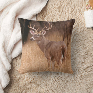 Coussin Cerf à queue blanche    Choke Canyon State Park, T