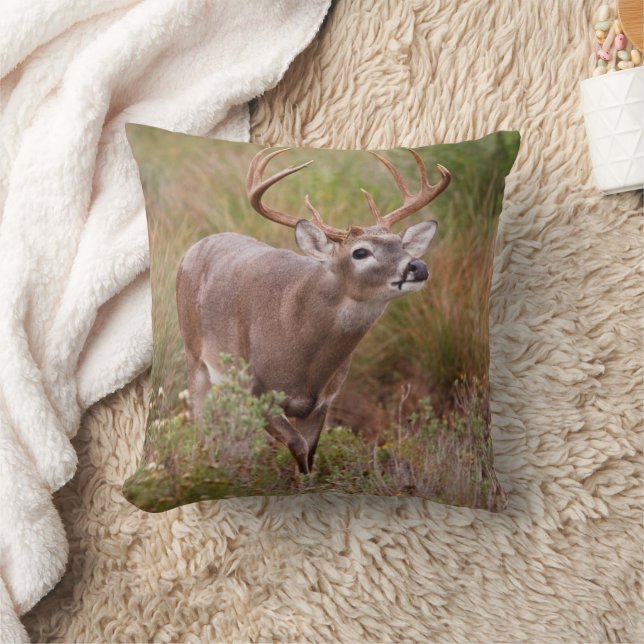 Coussin Cerf à queue blanche en automne au Texas (Couverture)
