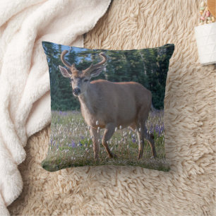 Coussin Cerf à queue noire Parc national Olympique