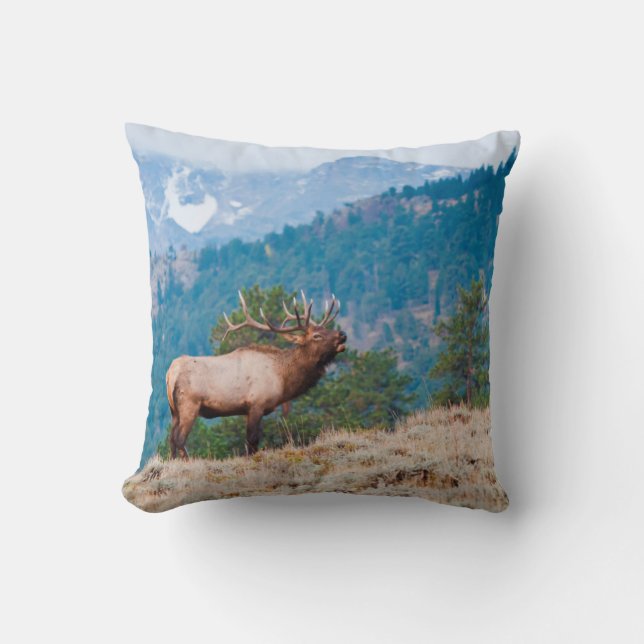 Coussin Cerf (Cervus Elephus) mâle bramant (Recto)