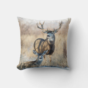 Coussin Cerf mulet mâle et femelle