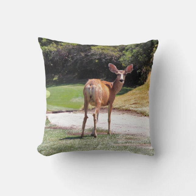 Coussin cerf regardant la caméra photographie (Recto)