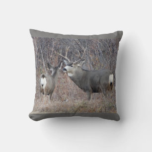 Coussin Cerfs communs de mule D29