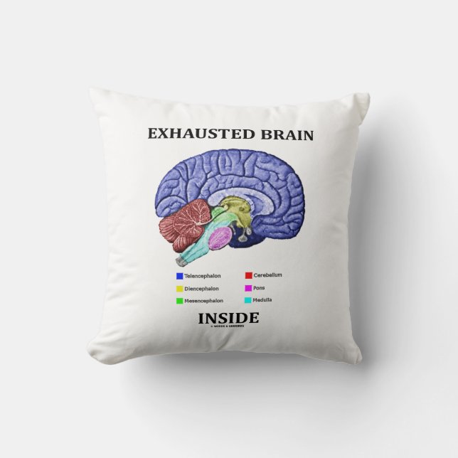 Coussin Cerveau épuisé à l'intérieur d'humour anatomique (Recto)