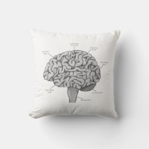 Coussin Cerveau Scientifique