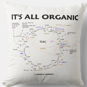 Coussin C'est tout cycle biologique Krebs cycle Citric Aci