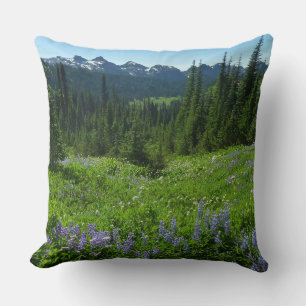 Coussin Chaîne des Cascades depuis le parc national du mon