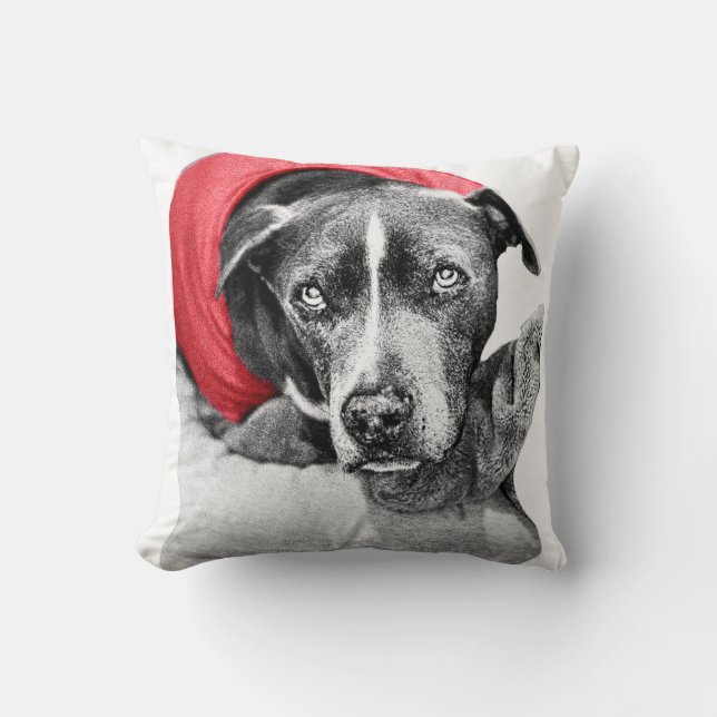 Coussin Chaleur de récolte en rouge (Recto)