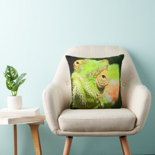 Coussin Chameleon