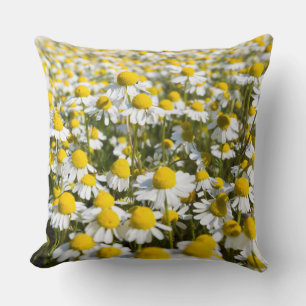 Coussin Champ de camomille, Hongrie